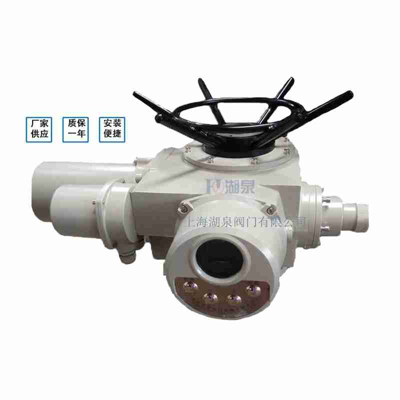 閥門電動裝置（dzw05,10,20，30,45,60，90,12